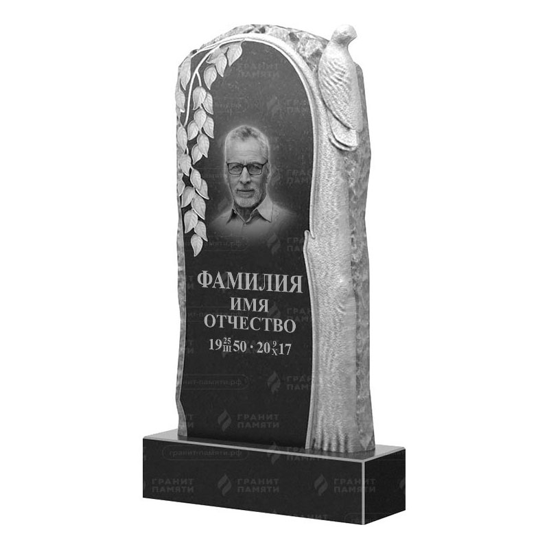 Гранитные памятники в&nbsp;Сызрани | Гранитный памятник ФГ-206